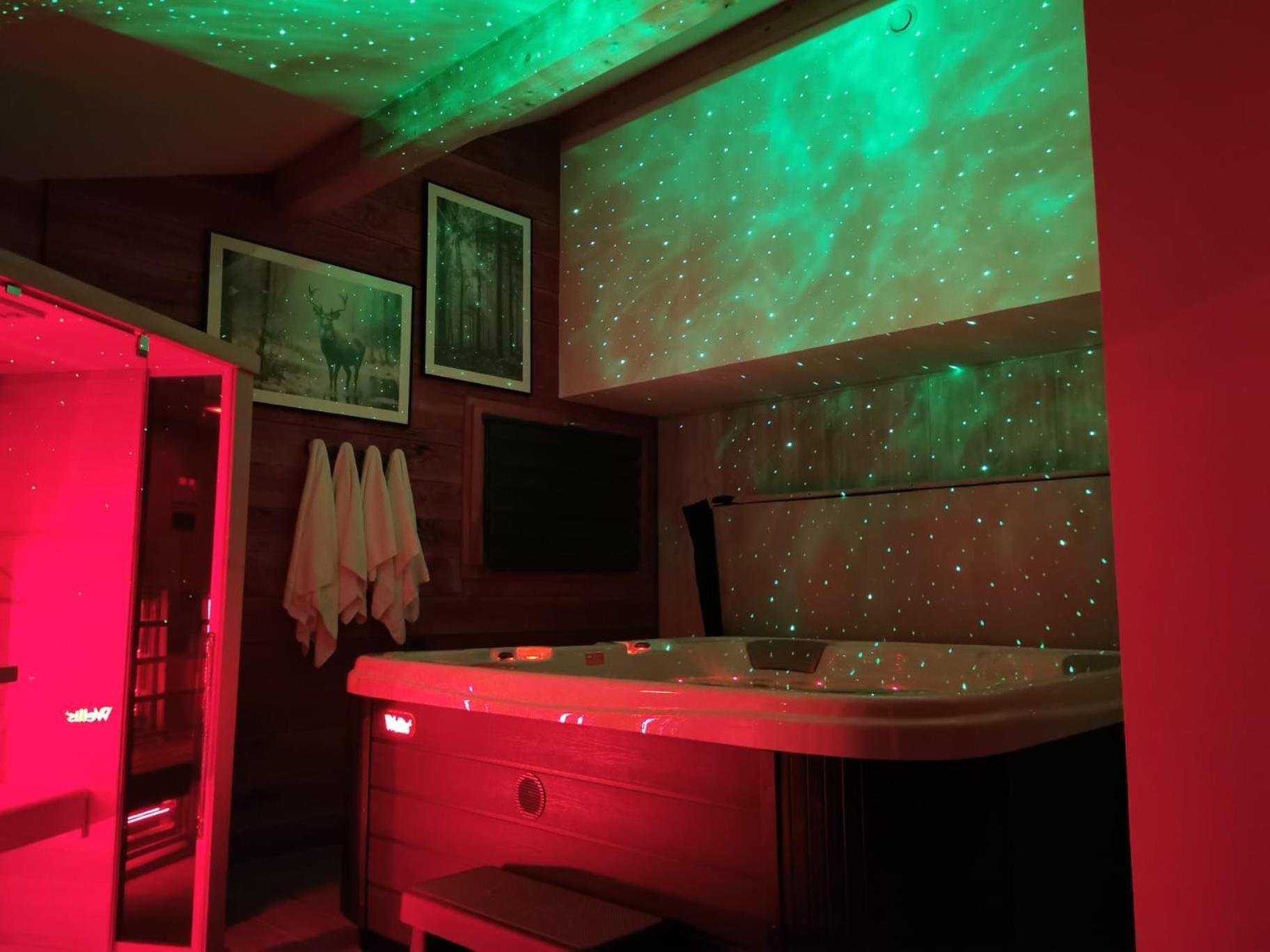 Le Chalet Du Pere Michel, Jacuzzi, Sauna, Jardin La Bresse Extérieur photo
